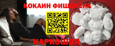 МДПВ Камышлов