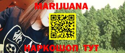 МДПВ Камышлов
