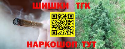 МДПВ Камышлов