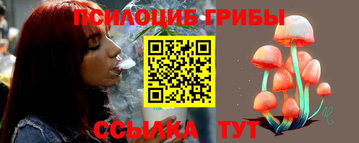 Галлюциногенные грибы ЛСД  купить закладку  Благовещенск  Псилоцибиновые грибы Psilocybine cubensis  Вход с VPN 